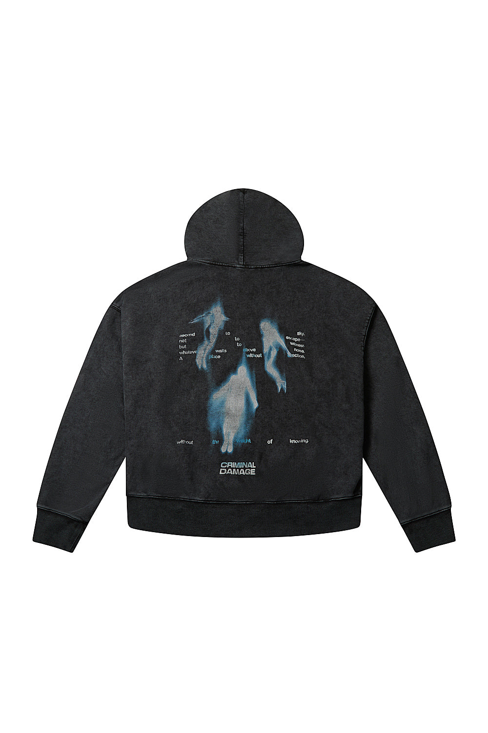 Criminal Damage Sky Escape Hoodie in black, photo 6