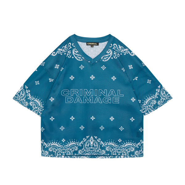 PAISLEY MESH TOP
