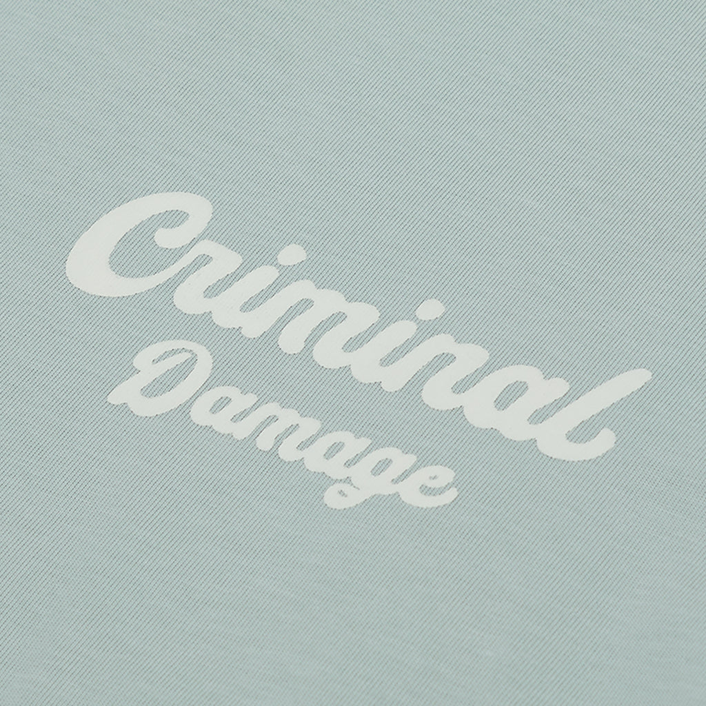 Text 'Criminal Damage' on a textured light blue background