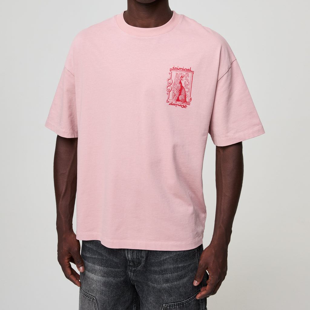 Person wearing a pink t-shirt with a red graphic on a plain background