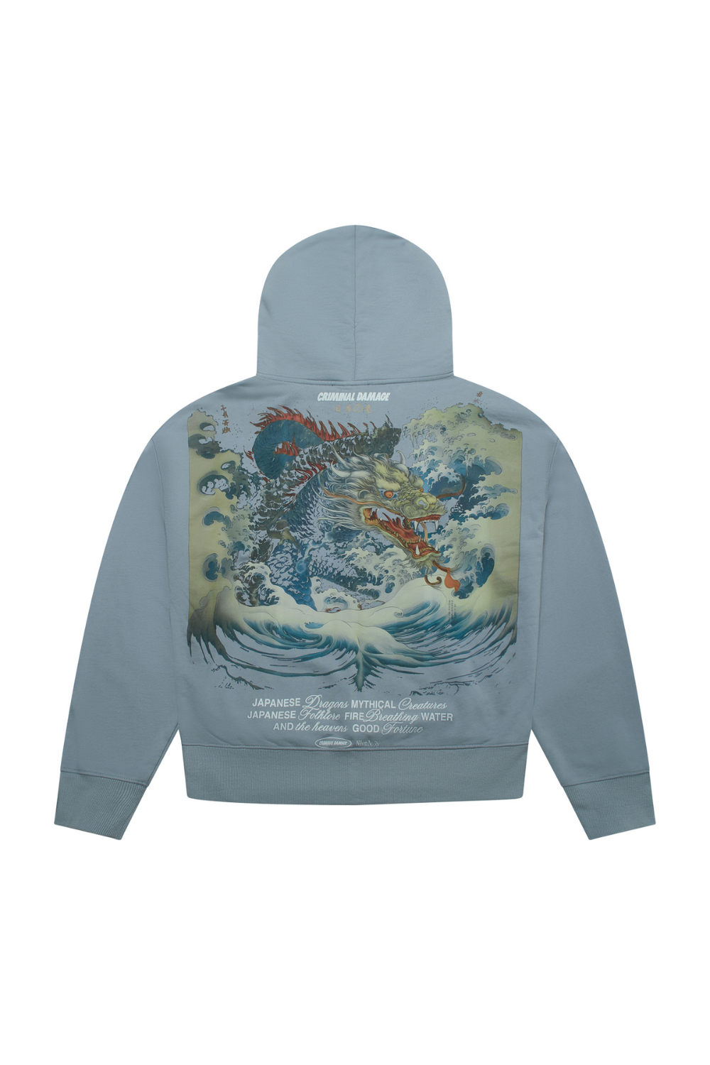Light blue hoodie with a colorful dragon design on the back against a white background