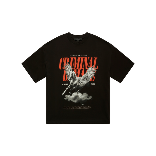 PEGASUS T-SHIRT